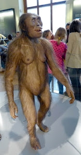 Evolution doubters are told to visit natural history museums and learn something. There are evolutionists who object to misleading displays of Lucy and other alleged ancestors.