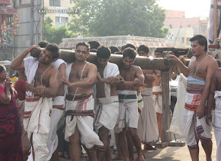 Garuda Sevai,Gopura Dharisanam,Vaigasi, Purappadu,Video, Divya Prabhandam,Sri Parthasarathy Perumal, Triplicane,Thiruvallikeni,Utsavam,Gajendra Varadhar,Brahmotsavam