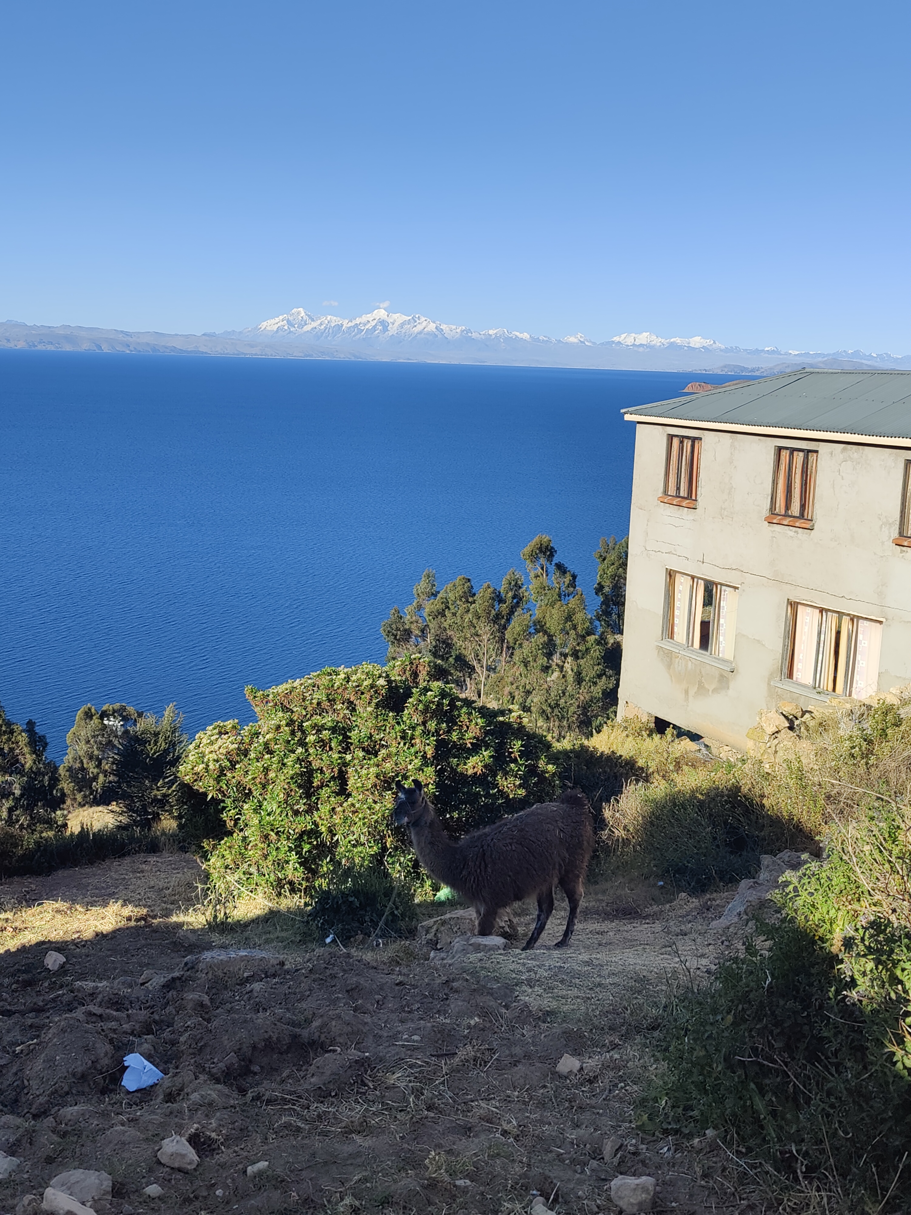 Titicaca -järvi