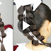 Learn - How To Create Braided Ponytail Hairstyle, See Tutorial