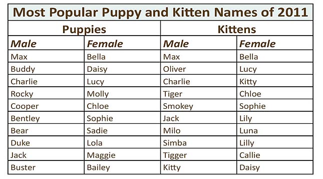 Cute Dog Names Female Cuteanimals