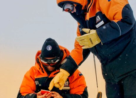 For the first time, microplastic has been identified in freshly fallen Antarctic ice | Education
