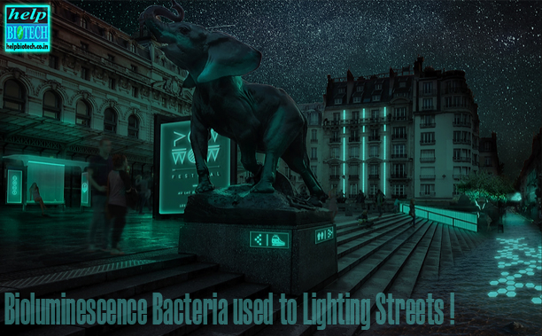 Bioluminescence Bacteria used to Lighting Streets ! 