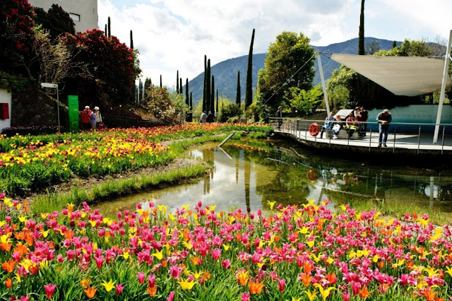 Giardini di Castel Trauttmansdorff, il laghetto delle ninfee che d'estate ospita il World Music Festival