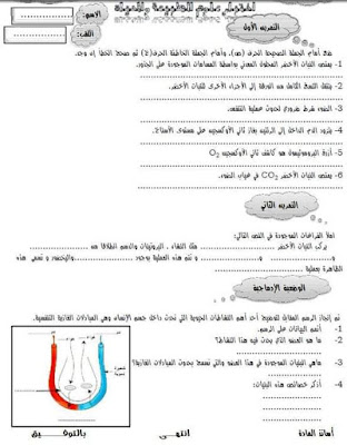 اختبارات الفصل الثاني في مادة العلوم الطبيعية للسنة الاولى  متوسط 2021