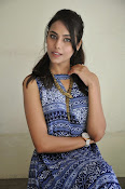 Khenisha Chandran at Jaganatakam press meet-thumbnail-19