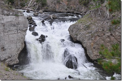 Yellowstone 2009 177