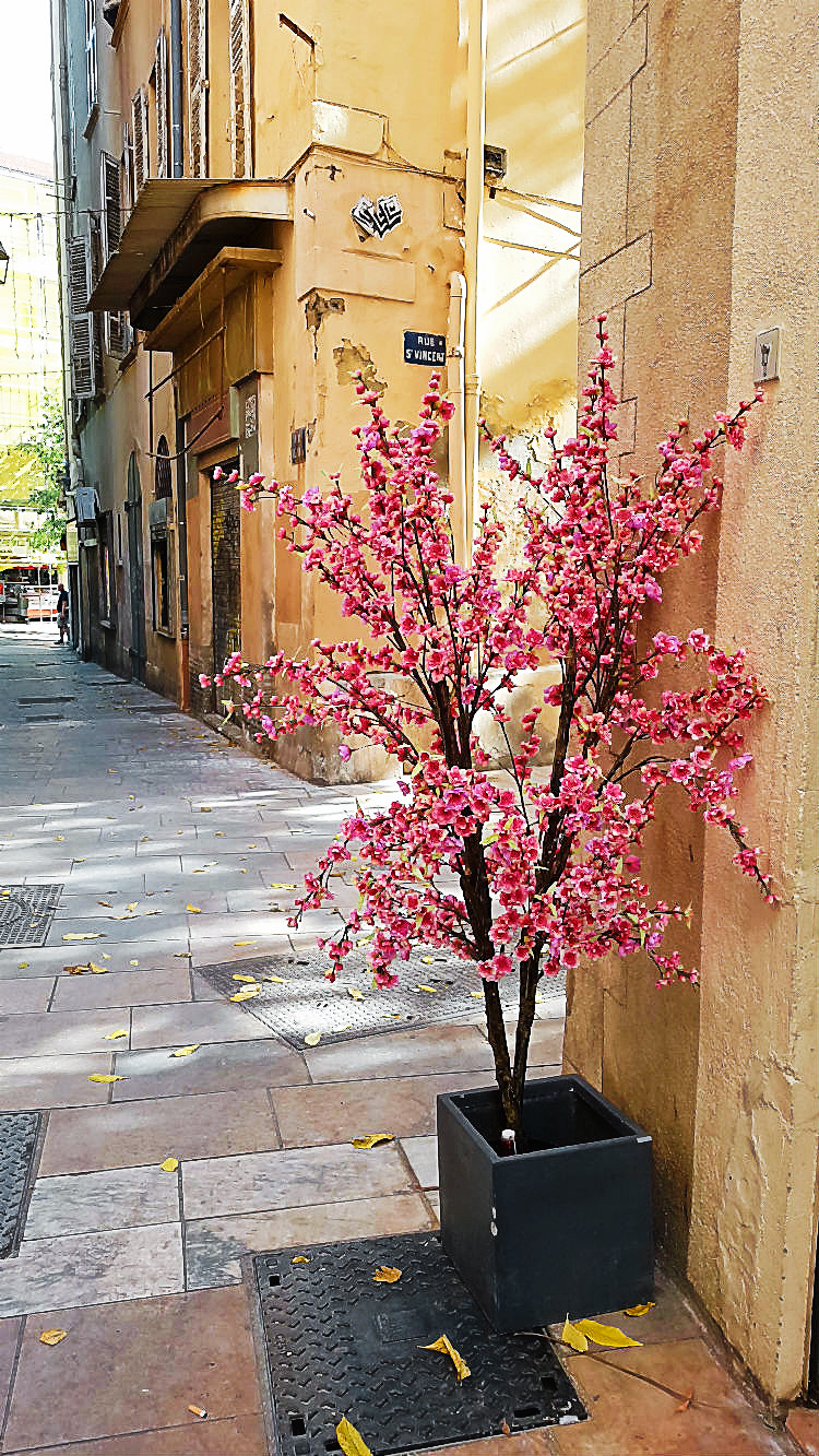 Ein Spaziergang durch die Altstadt von Toulon (Reisebericht im Rahmen einer Kreuzfahrt mit der Mein Schiff 5 von Tui Cruises) | Arthurs Tochter kocht. Der Blog für food, wine, travel & love