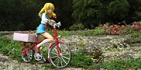 http://www.optimisticpenguin.com/2010/07/freeing-figma-exride-classic-bicycle.html