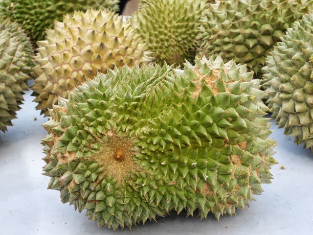 2016 harga jual Durian Ochee/Duri Hitam/Blackthorn/黑刺 ...