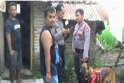 Polres Bondowoso Turunkan Anjing Pelacak Untuk Cari Kepala Korban