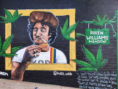 San Francisco Robin Williams street art CINEBLOGYWOOD