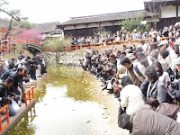 参拝者と観客･写真愛好家は流しびなを狙う