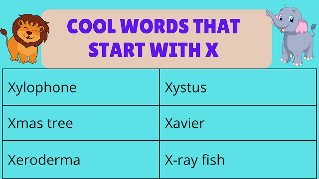 Cool Words That Start With X