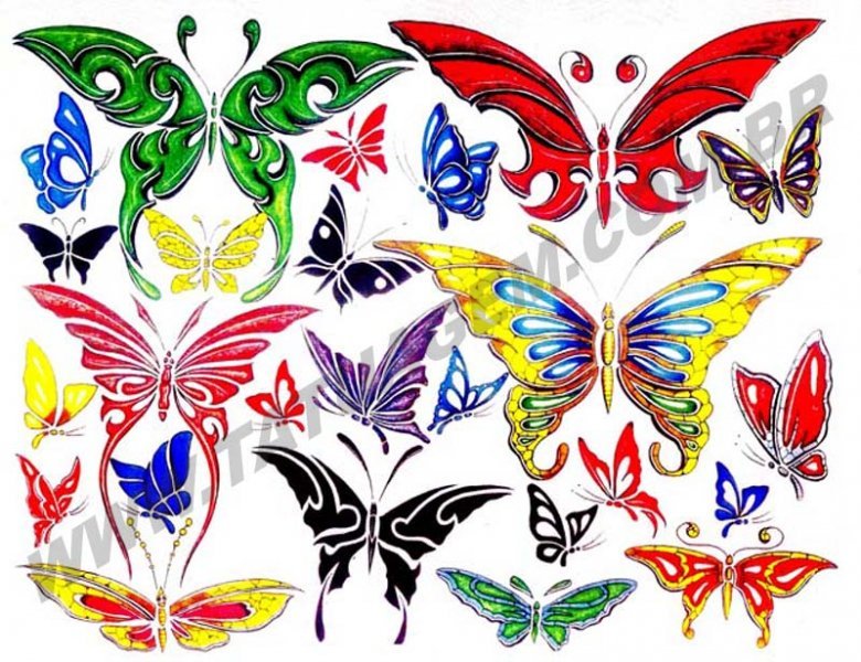 tattoo de borboletas. tattoo de orboletas. para