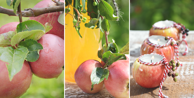 Der Apfel - vielseitig, gesund und lecker