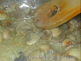 DSCN4658