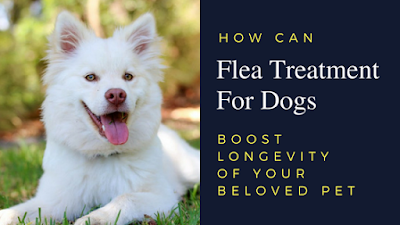 Flea Treatment For Dogs 