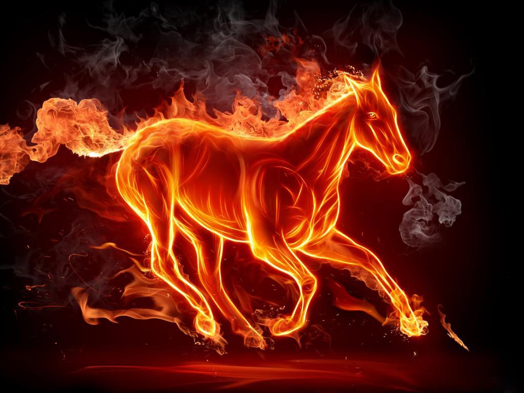 3D Fire Horse HD Wallpapers