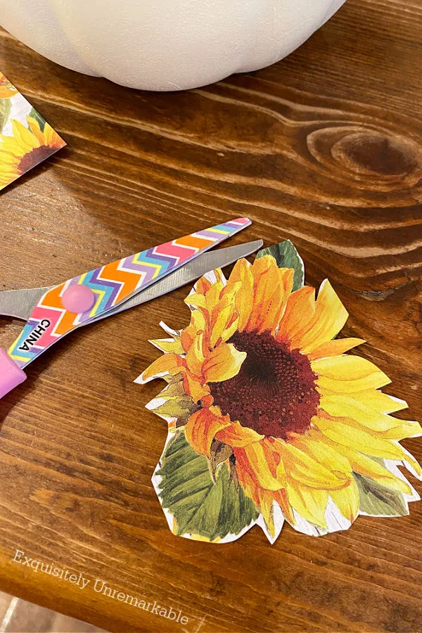 Cutting Out Flowers From Scrapbook Paper