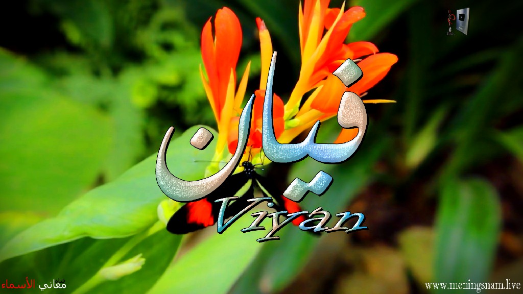 معنى اسم, فيان, وصفات, حاملة, وحامل, هذا الاسم, Viyan,