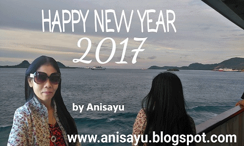 PUISI CINTA BY ANISAYU: Puisi Pantun Selamat Tahun Baru 