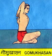 GOMUKH ASANA