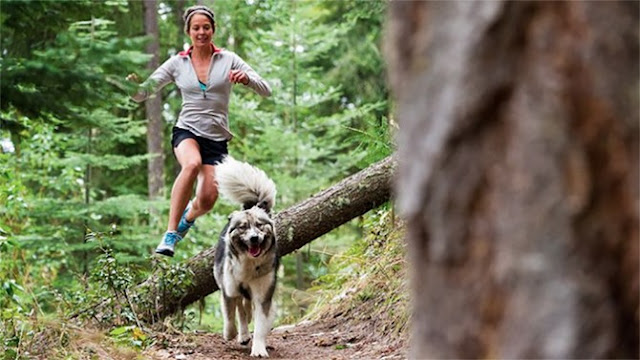 5 Tips For Running With Your Dog