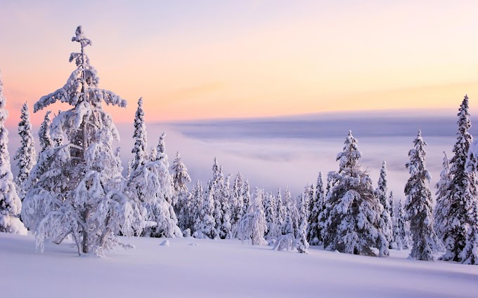 Short Break in Ylläs in Finnish Lapland