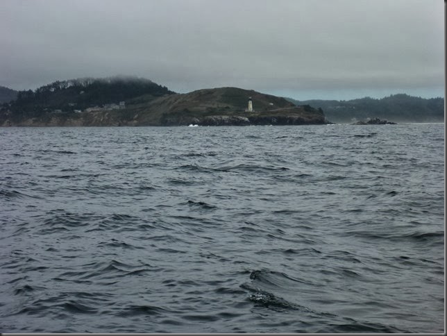 P1000132