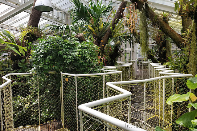 Canopy Walk in Meise Botanic Garden