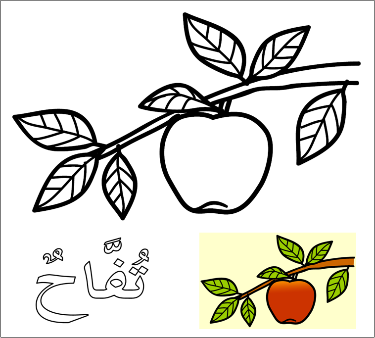 Mewarnai Buah buahan | TPQ NUR AZIZAH