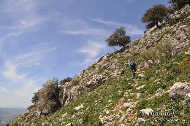 Subida a los Tajos Lagarín y las Grajas