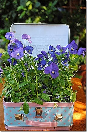 container7
