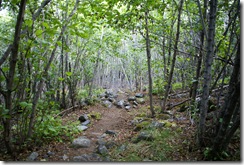 DSC03301