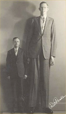 Robert Wadlow