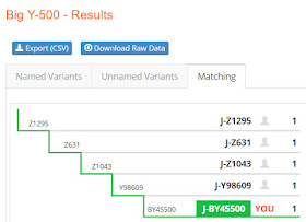 Big Y-500 step chart