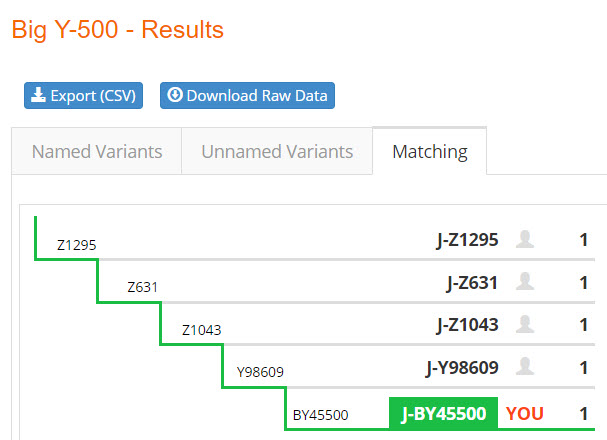 Big Y-500 step chart