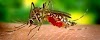 Dengue-Chikungunya outbreak in Delhi amid the havoc of Corona, highest number of cases in 8 years