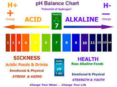 cara pemakaian pH tester cair 