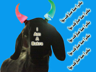 Eid ul Adha Bakra Greeting