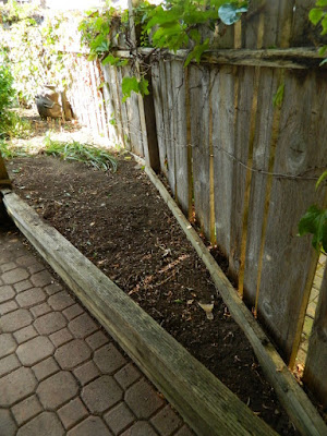 Little Italy Palmerston  Toronto Back Yard Cleanup after by Paul Jung Gardening Services