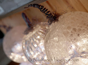 Bliss-Ranch.com Glass Light Globe Pumpkins