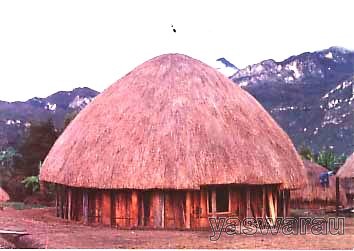 Rumah Adat Papua  Rumah Honai