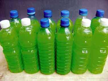 How to Make Money from liquid Soap Production in Nigeria