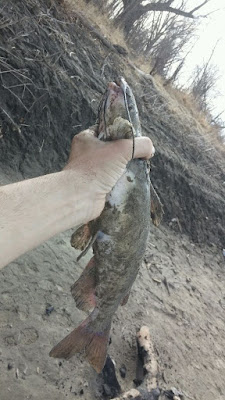 Catfishing in lakes, Catfishing, Catfish