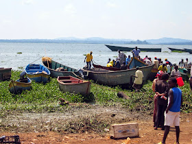 http://www.newvision.co.ug/news/666453-ministry-worried-about-reducing-fish-stocks.html