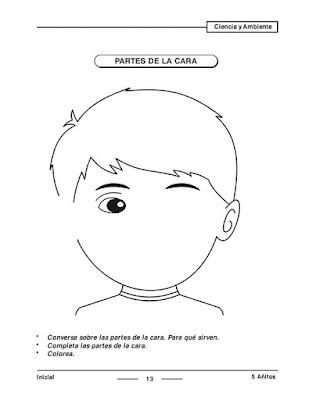 Partes de la cara para Inicial Preescolar