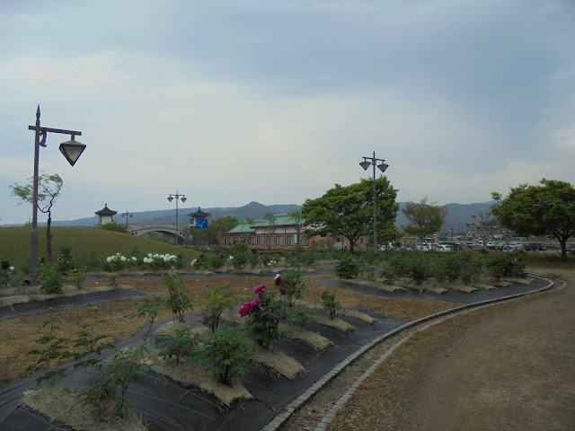 美しい燕趙園の牡丹園