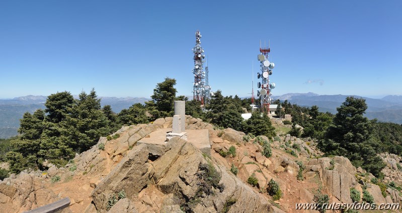 Los Reales de Sierra Bermeja